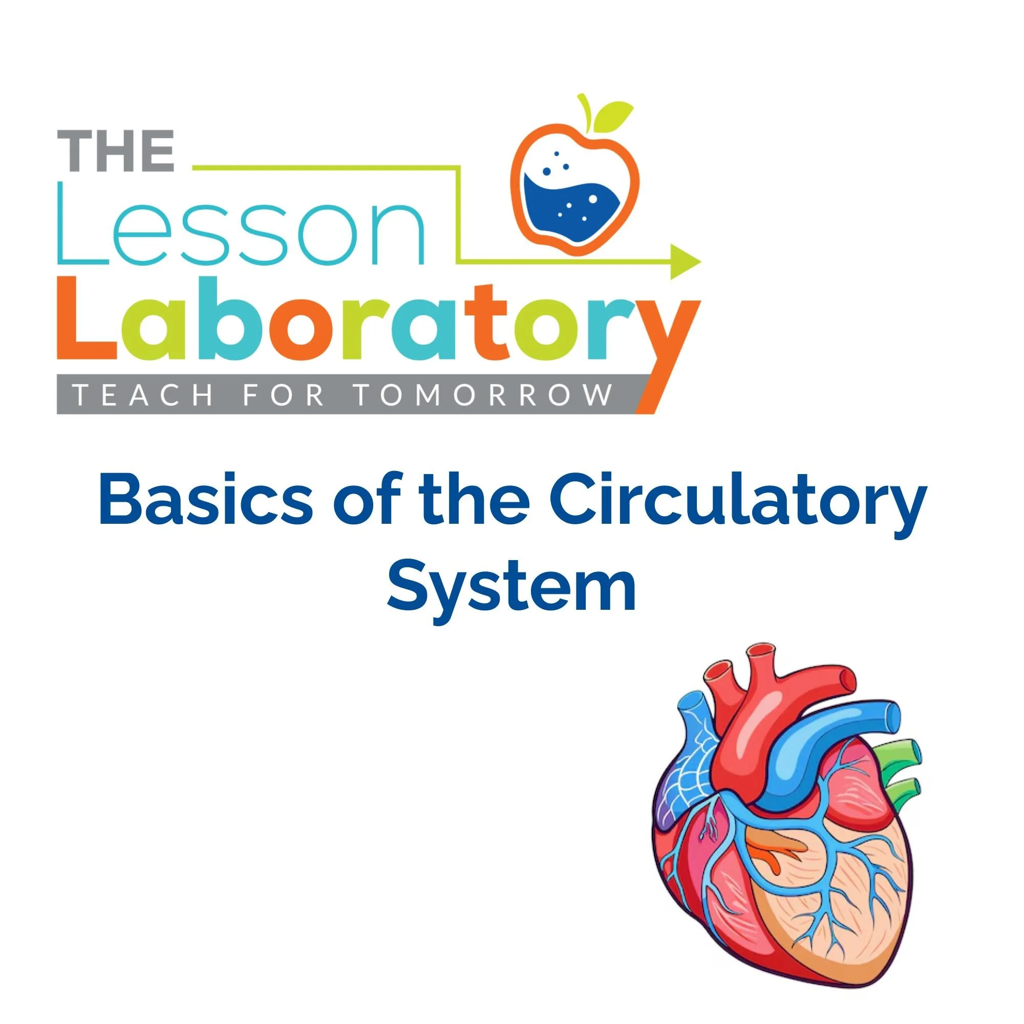 CORRECT Lesson Icons.jpg