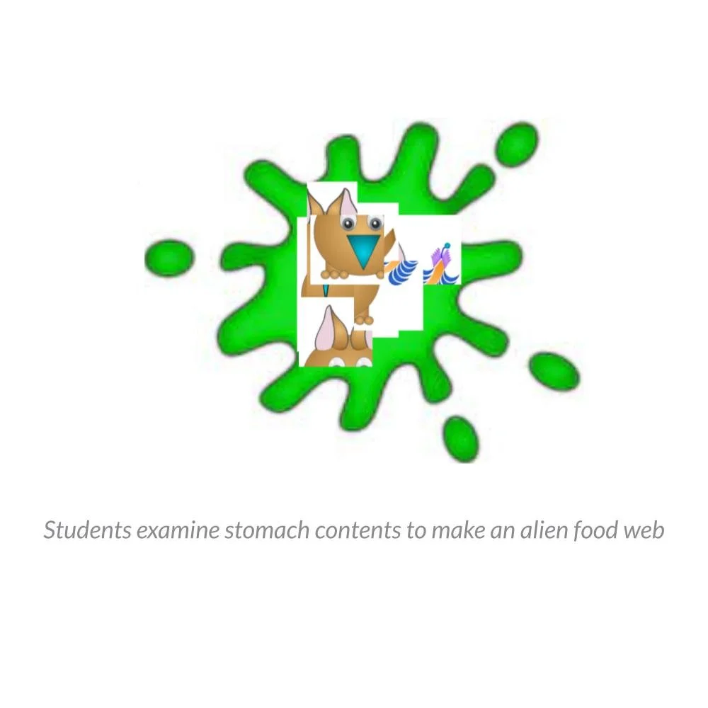 New Lesson Icons in Process (1).jpg