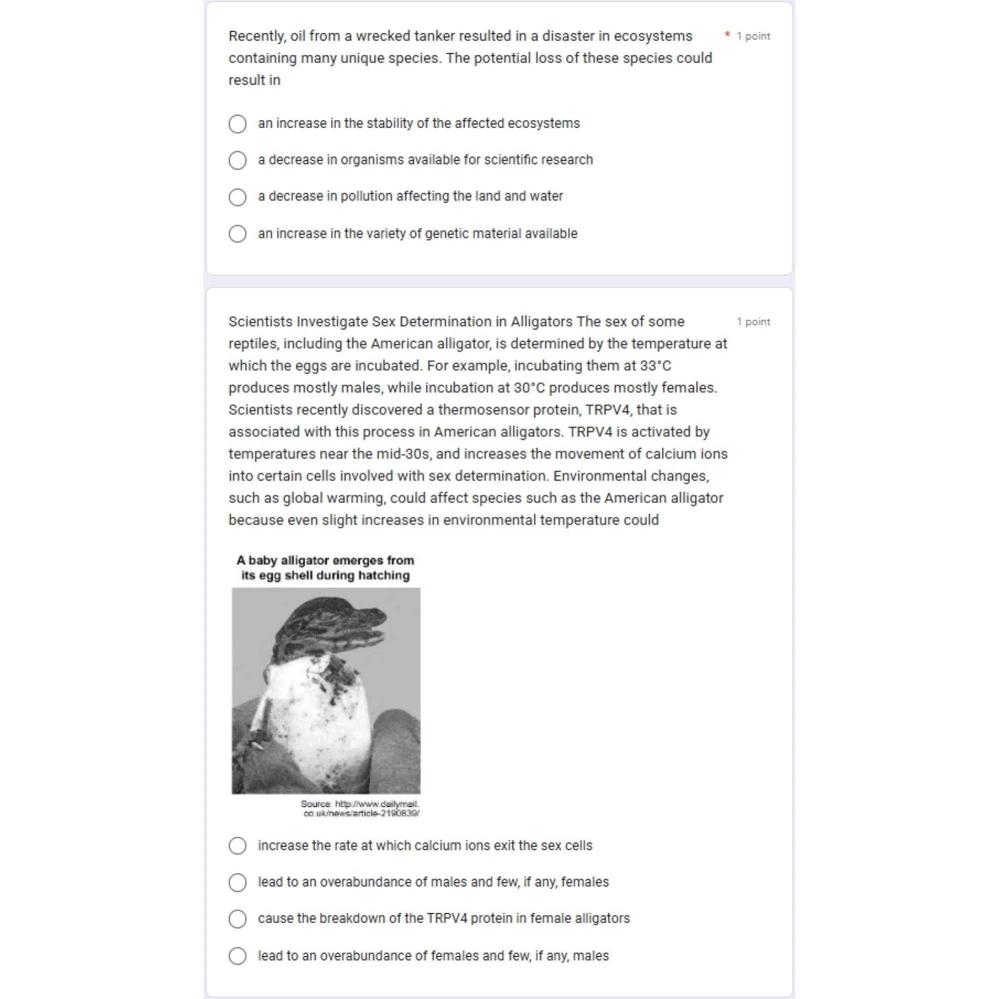 CORRECT Lesson Icons (2).jpg
