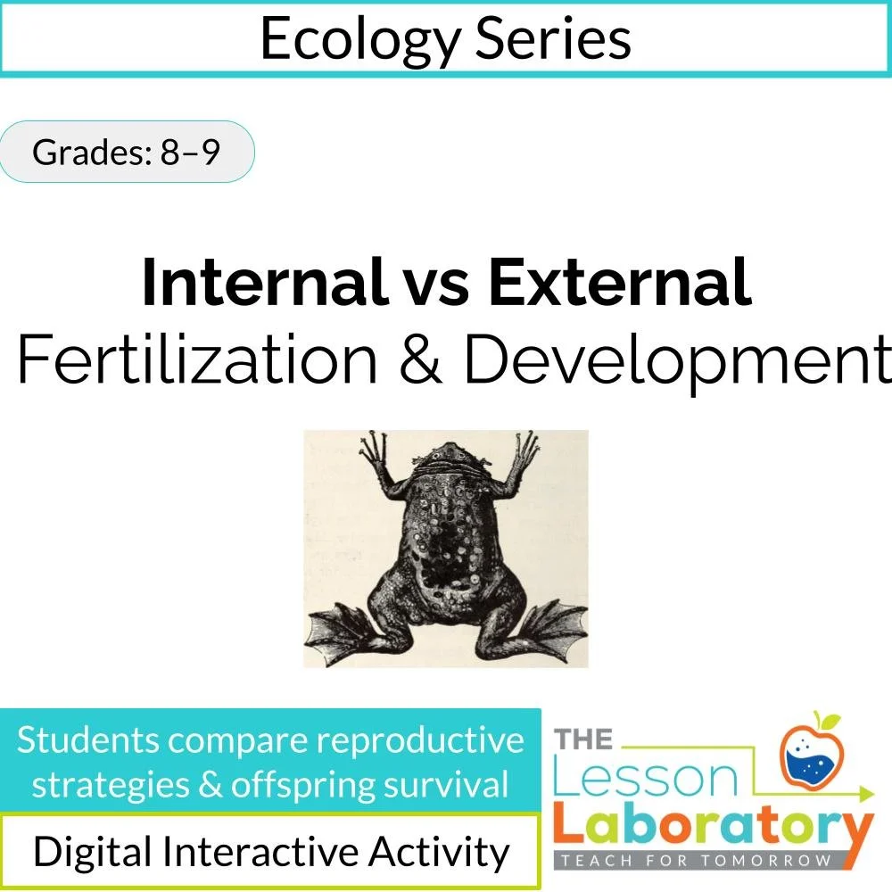 Internal vs. External Fertilization & Development | Reproductive Strategies