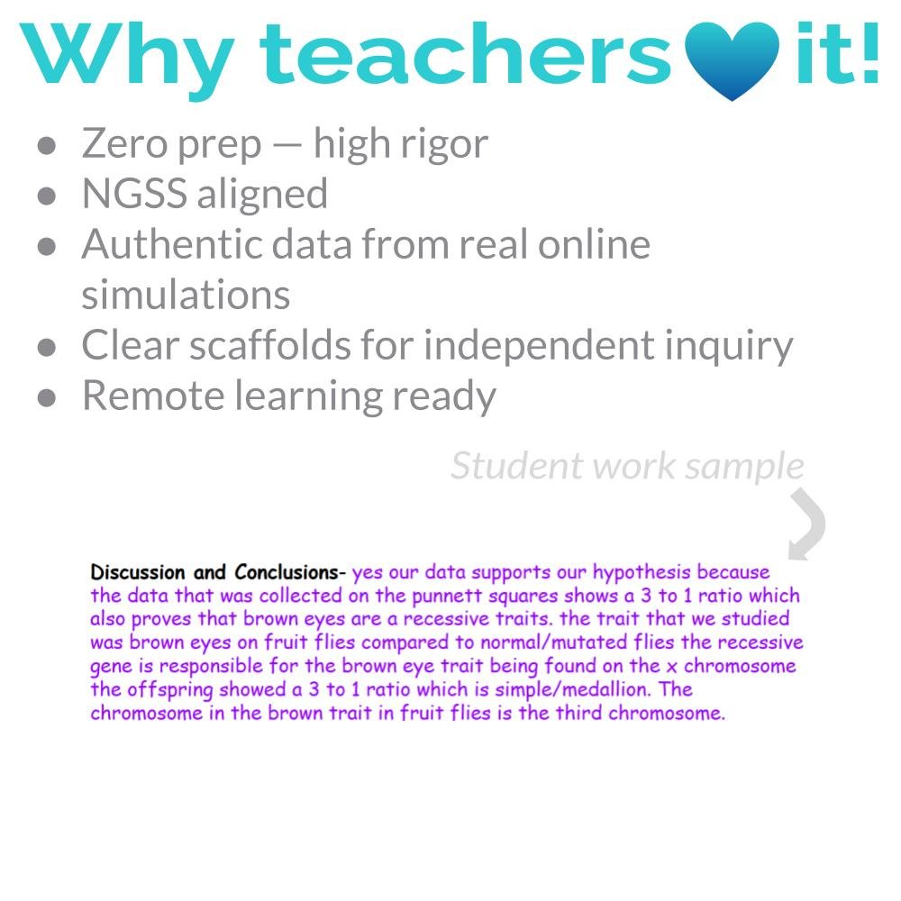 New Lesson Icons (3).jpg