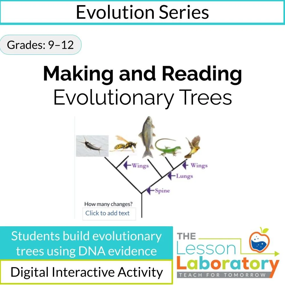 Making & Reading Evolutionary Trees | Cladograms, Common Ancestry & DNA Evidence