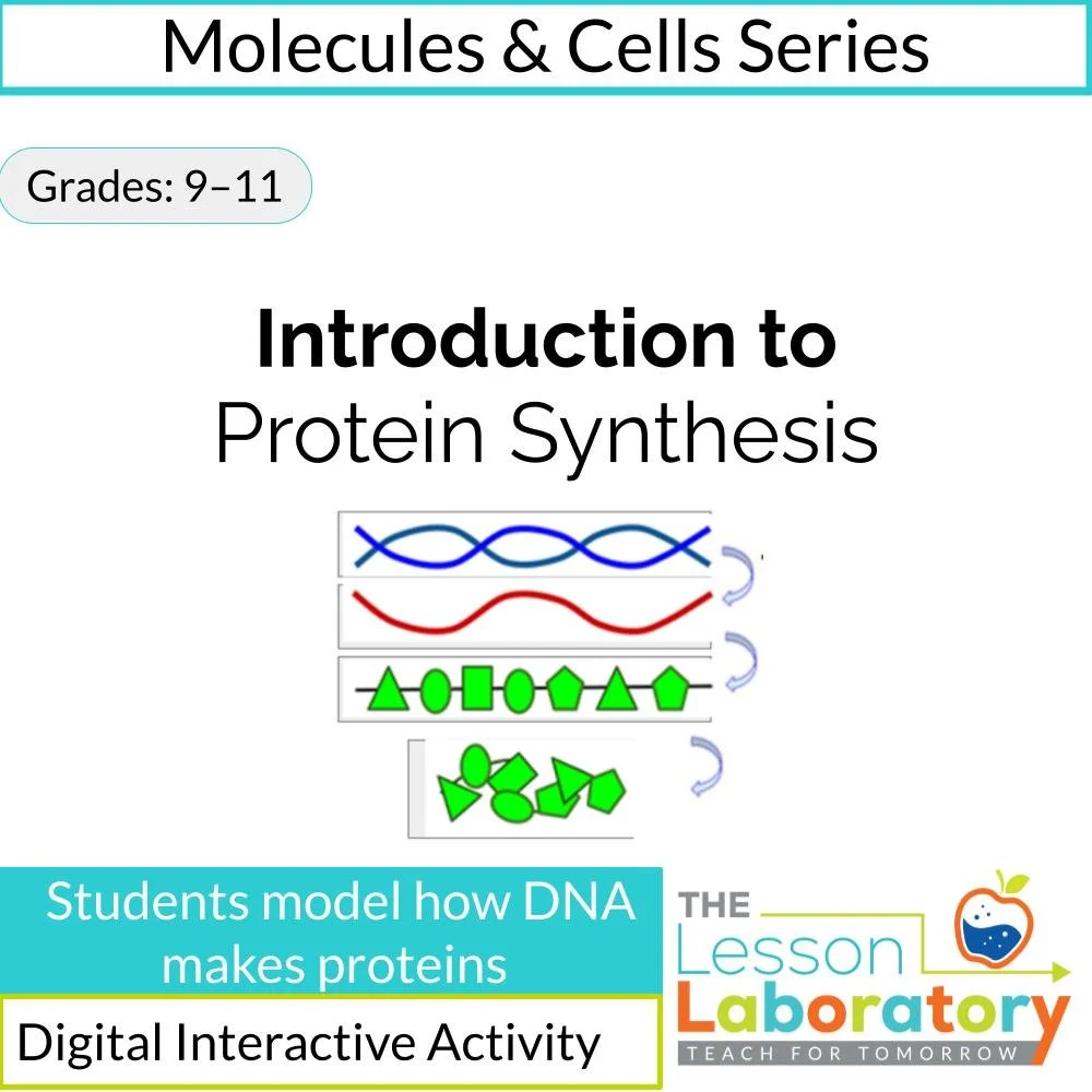 Introduction to Protein Synthesis | Transcription and Translation