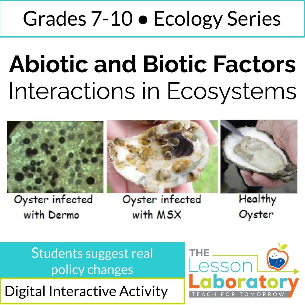 New Lesson Icons.jpg