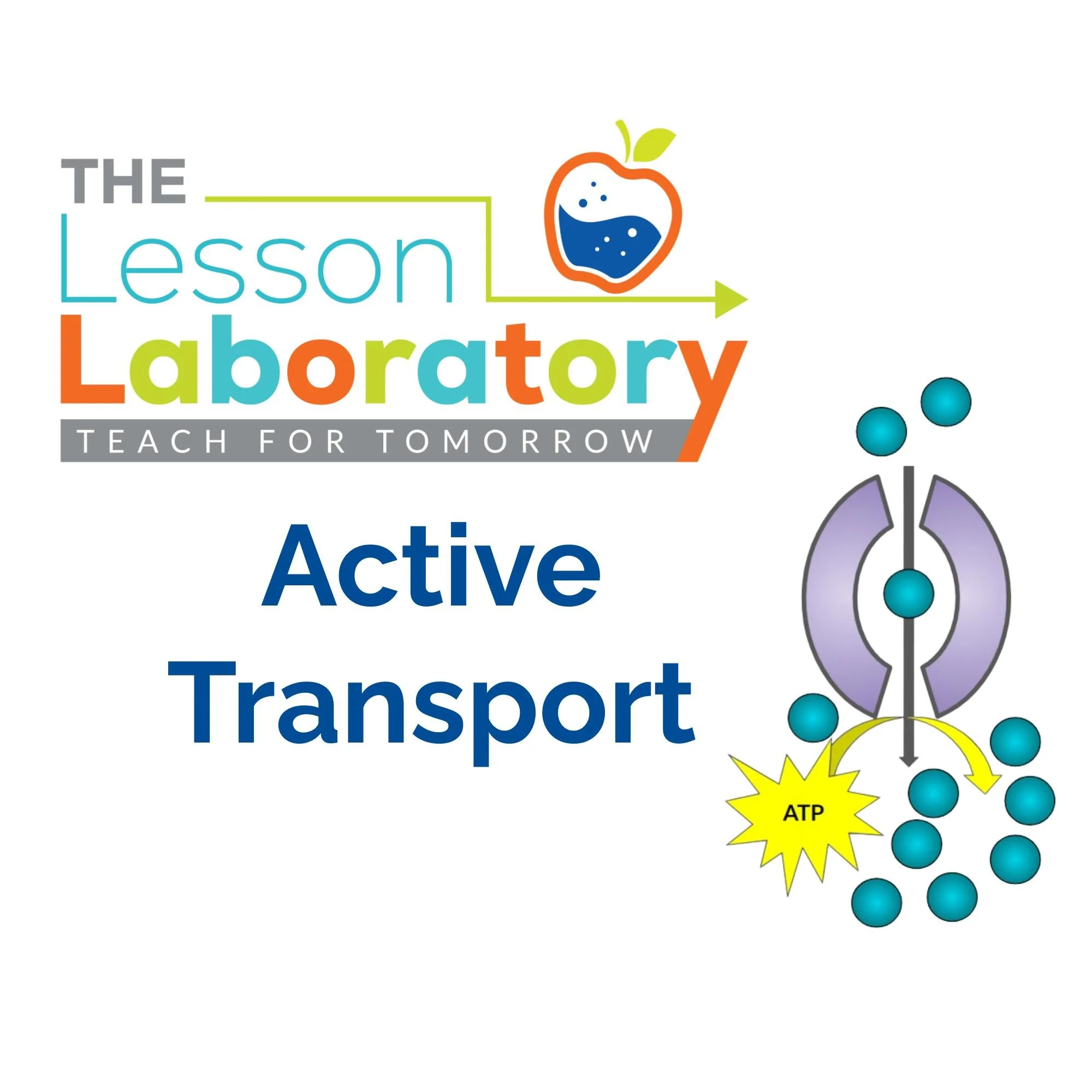 CORRECT Lesson Icons.jpg