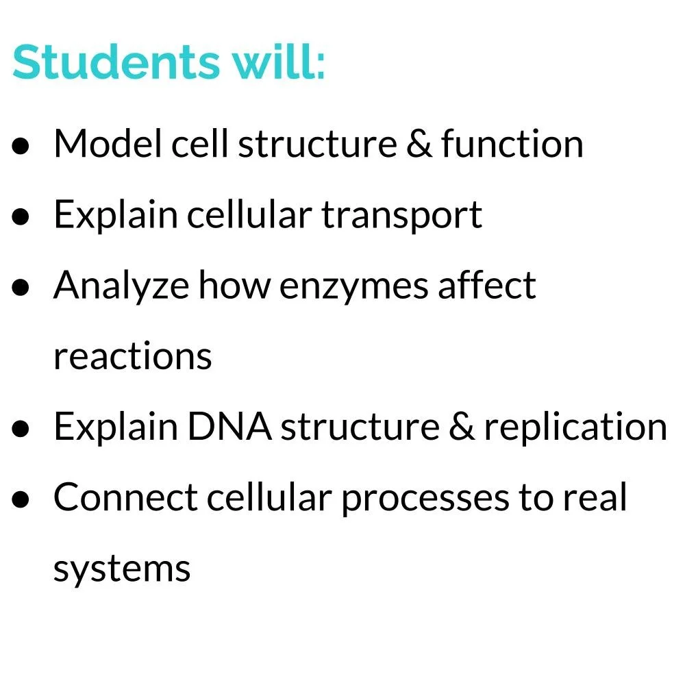 Bundle Icons (1).jpg