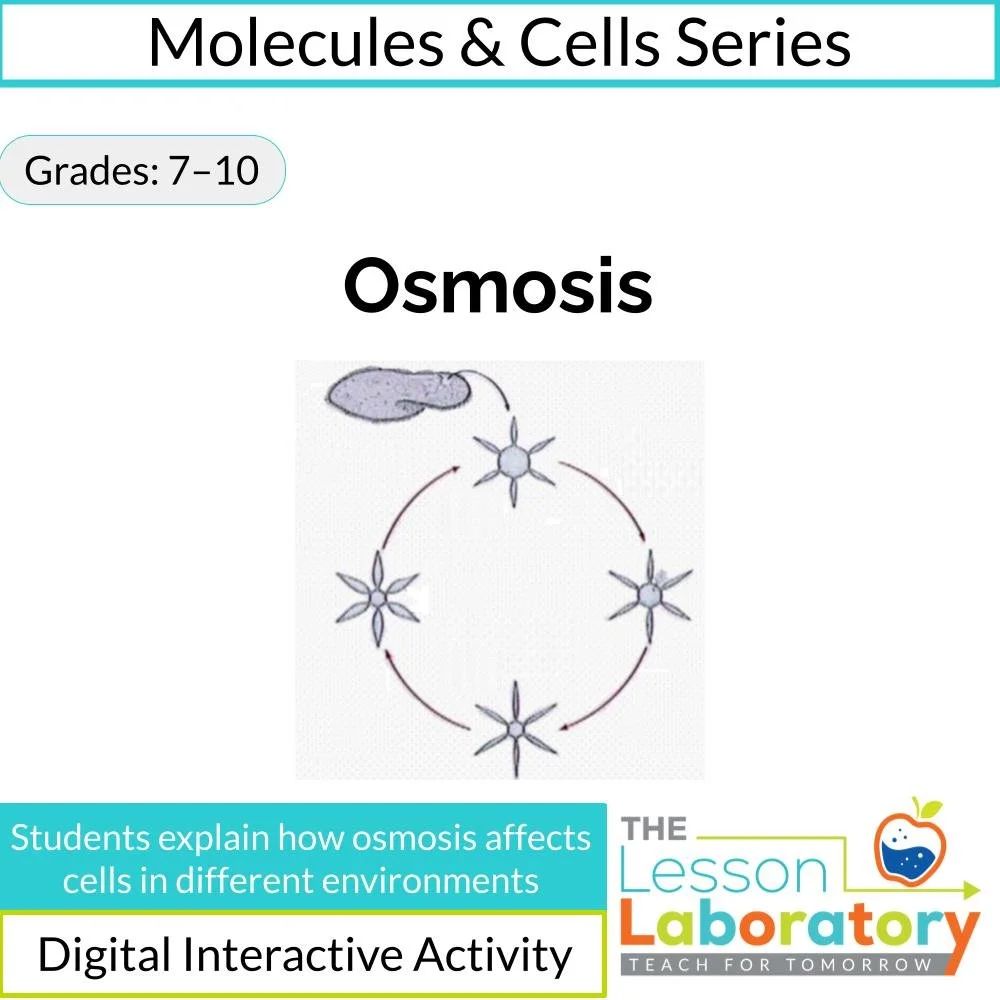 Osmosis Explained: Hypertonic, Hypotonic, and Real-World Cell Examples