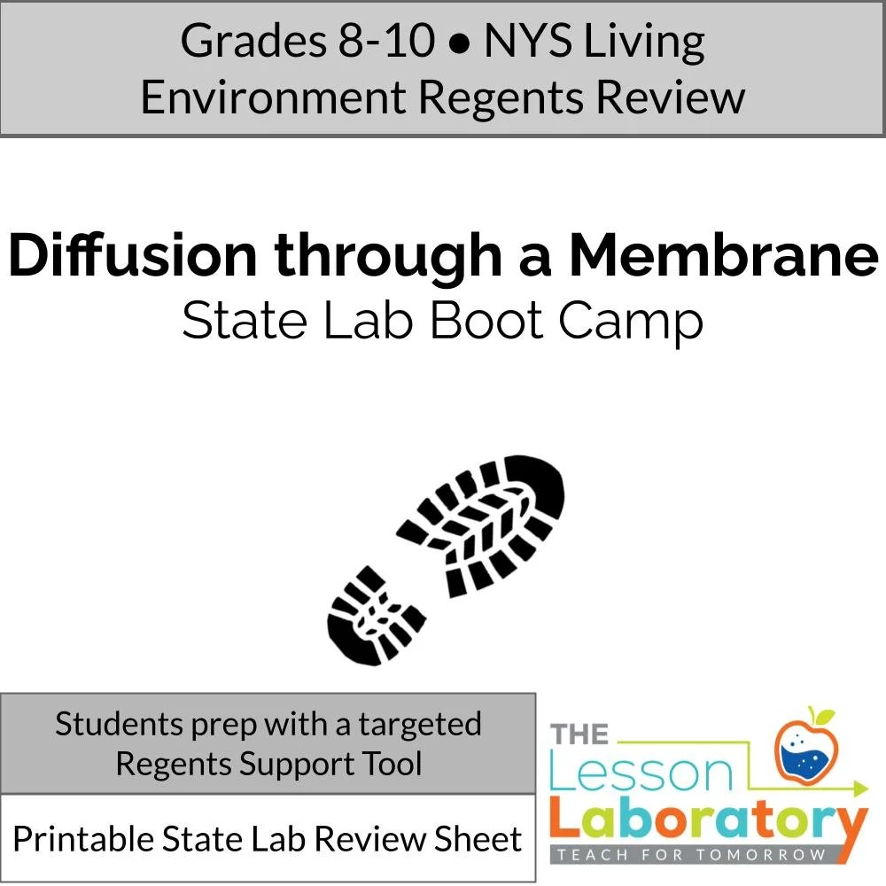 Diffusion Through a Membrane State Lab Review | NYS Living Environment Regents