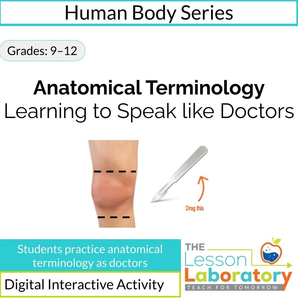 Anatomical Terminology Digital Lab & Escape Room – Relative Position, Body Regions & Doctor Simulation