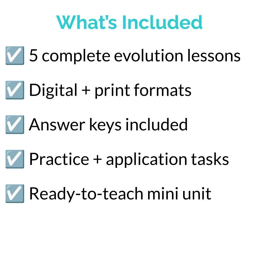 Bundle Icons (2).jpg
