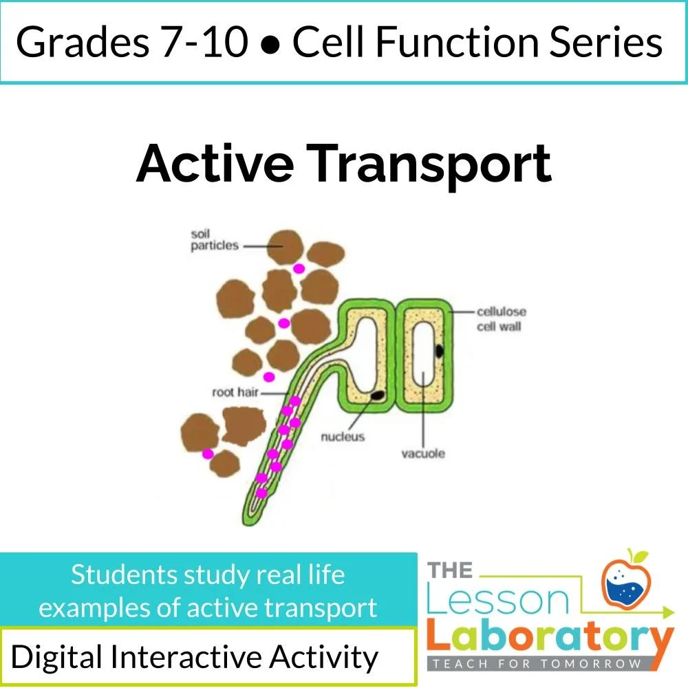 New Lesson Icons in Process.jpg