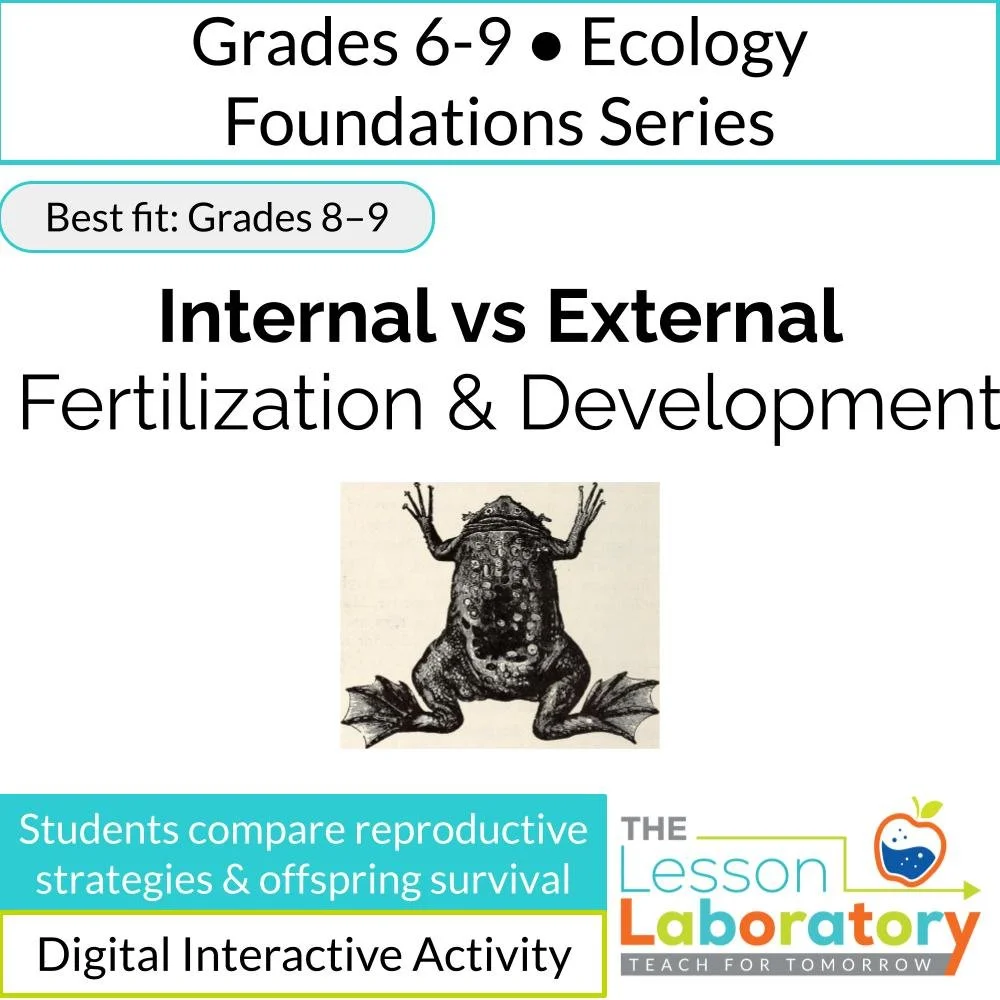 Internal vs. External Fertilization & Development | Reproductive Strategies