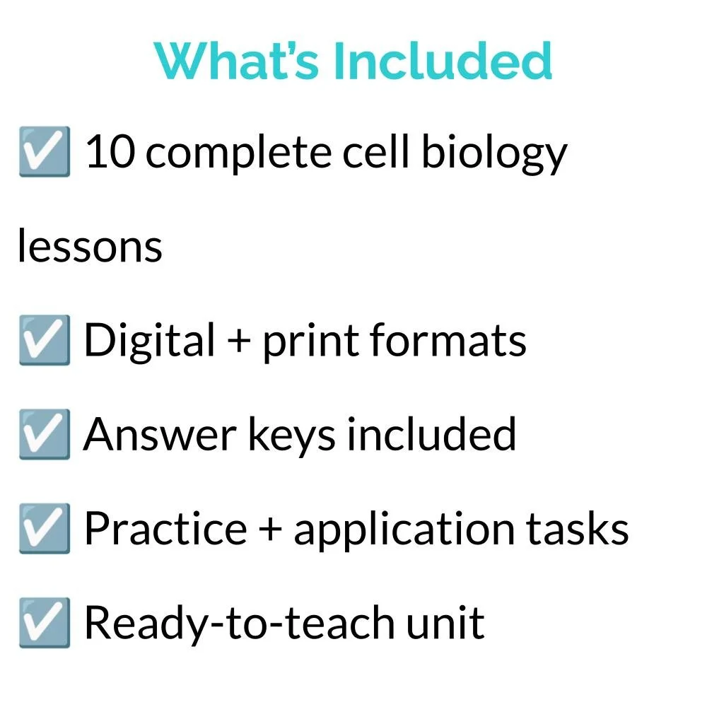 Bundle Icons (2).jpg