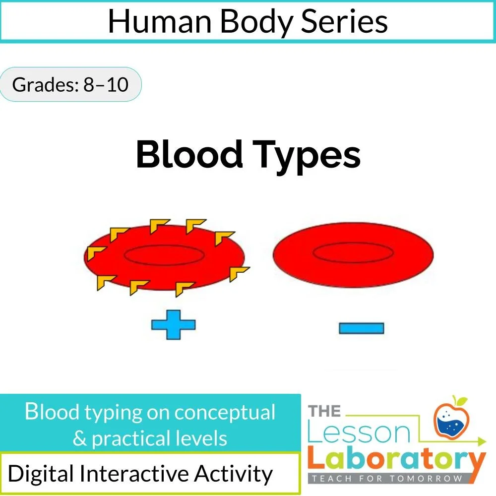 Blood Types & Blood Typing Activity | ABO & Rh Factor Interactive Digital Lesson