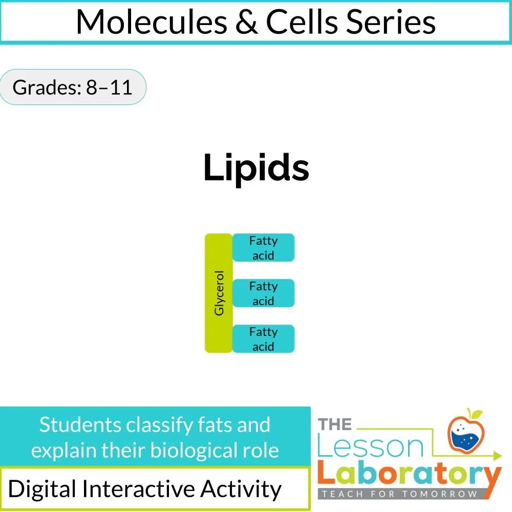 Introduction to Lipids: Structure, Fats, and Biological Function