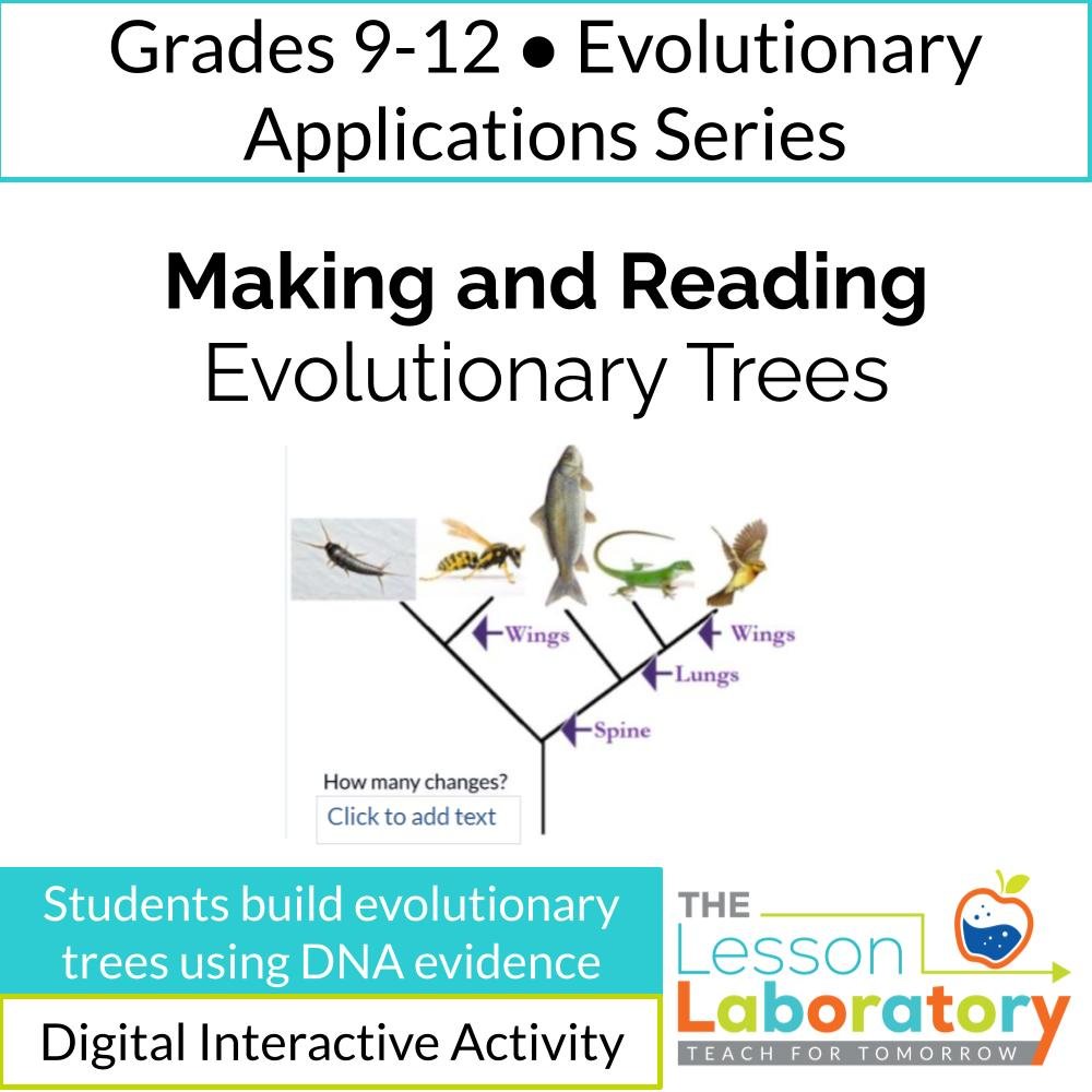 Making & Reading Evolutionary Trees | Cladograms, Common Ancestry & DNA Evidence