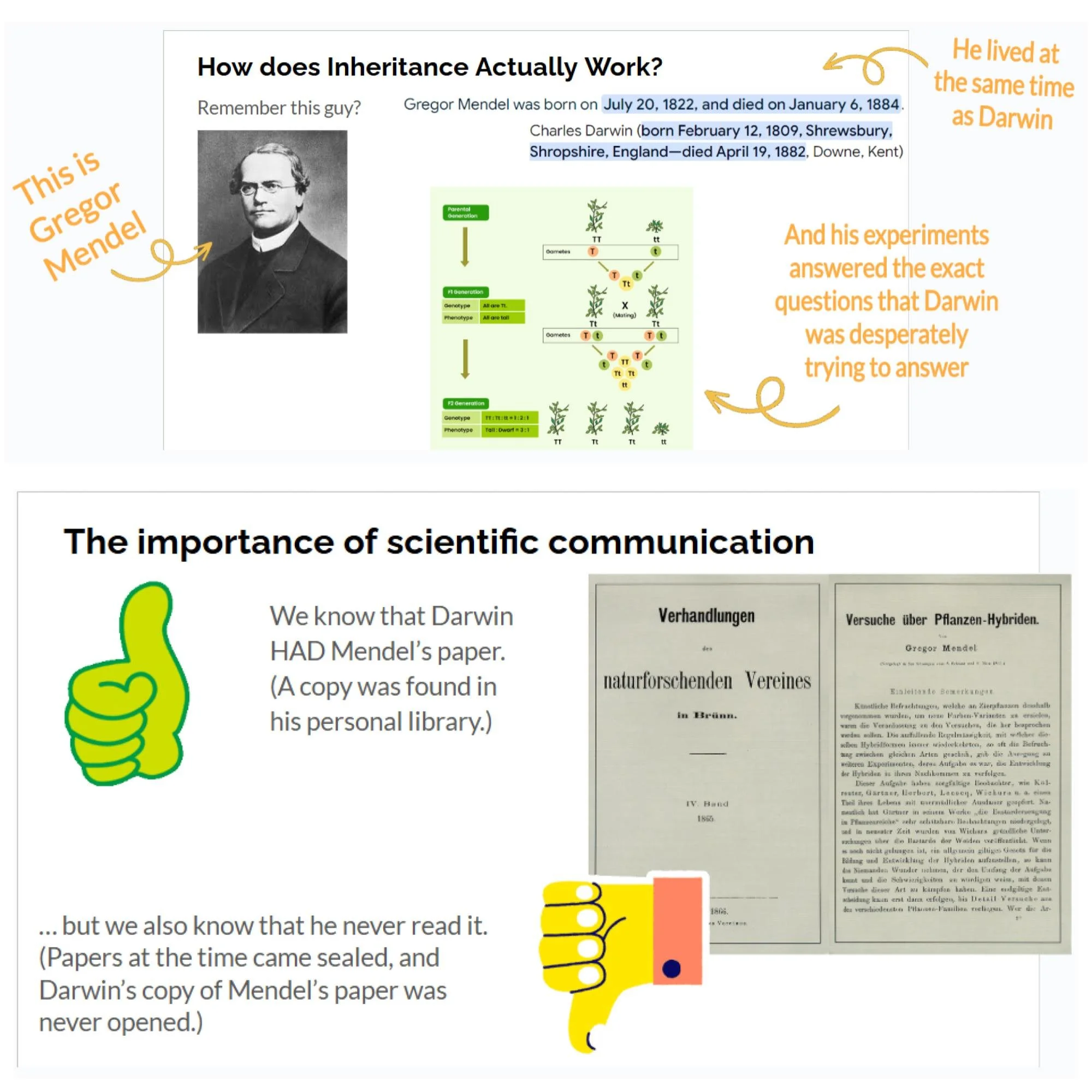 CORRECT Lesson Icons (3).jpg