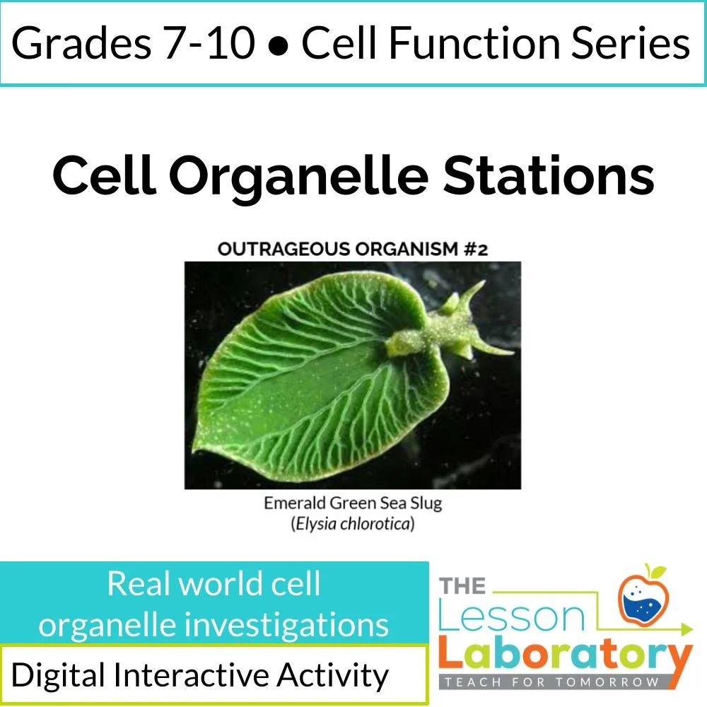 New Lesson Icons in Process.jpg