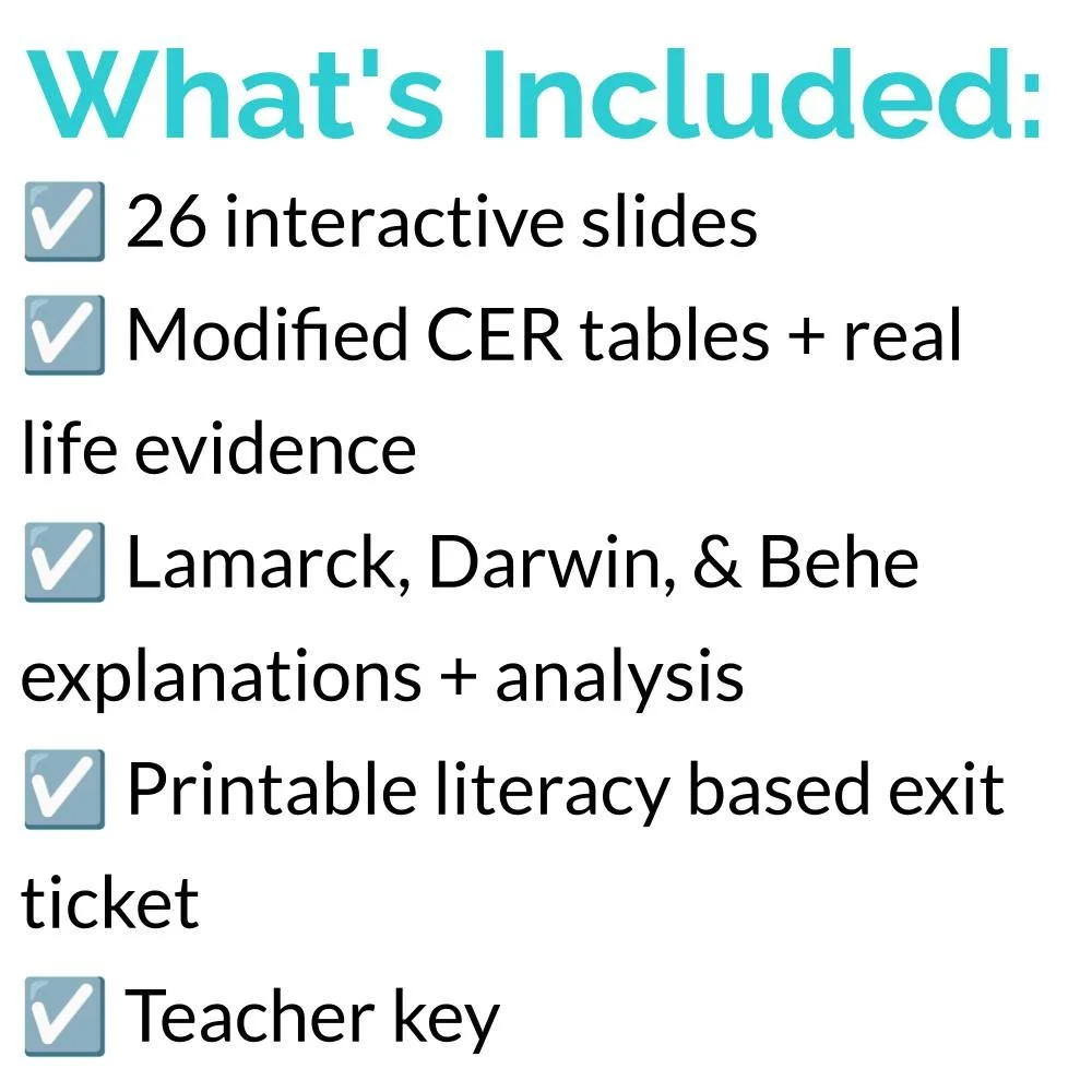 New Lesson Icons (2).jpg