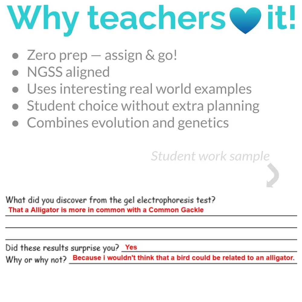 MS_HS Lesson Icons (3).jpg