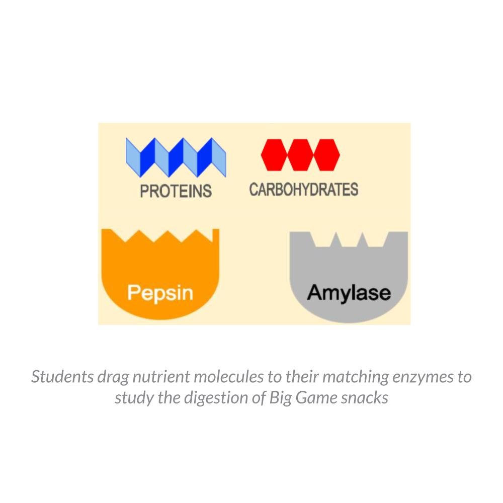 New Lesson Icons in Process (1).jpg