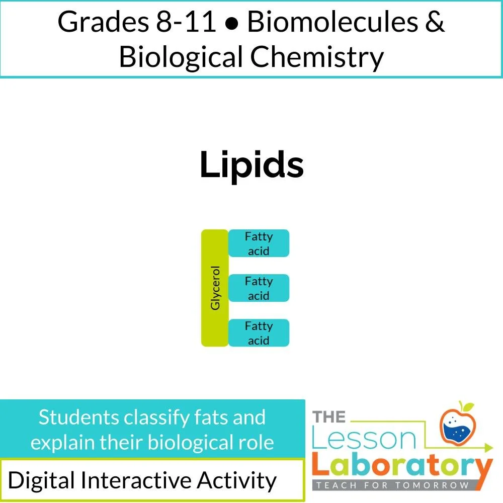 Introduction to Lipids: Structure, Fats, and Biological Function
