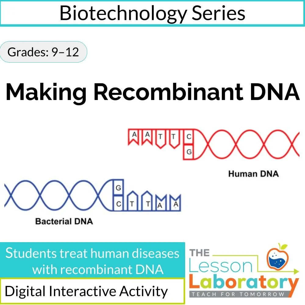 Recombinant DNA: How Genetic Engineering Treats Disease