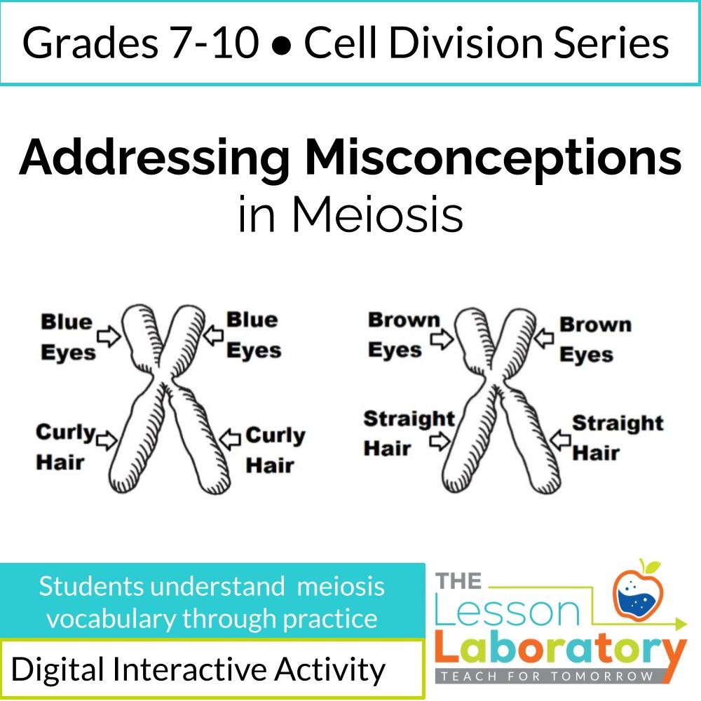 New Lesson Icons in Process.jpg