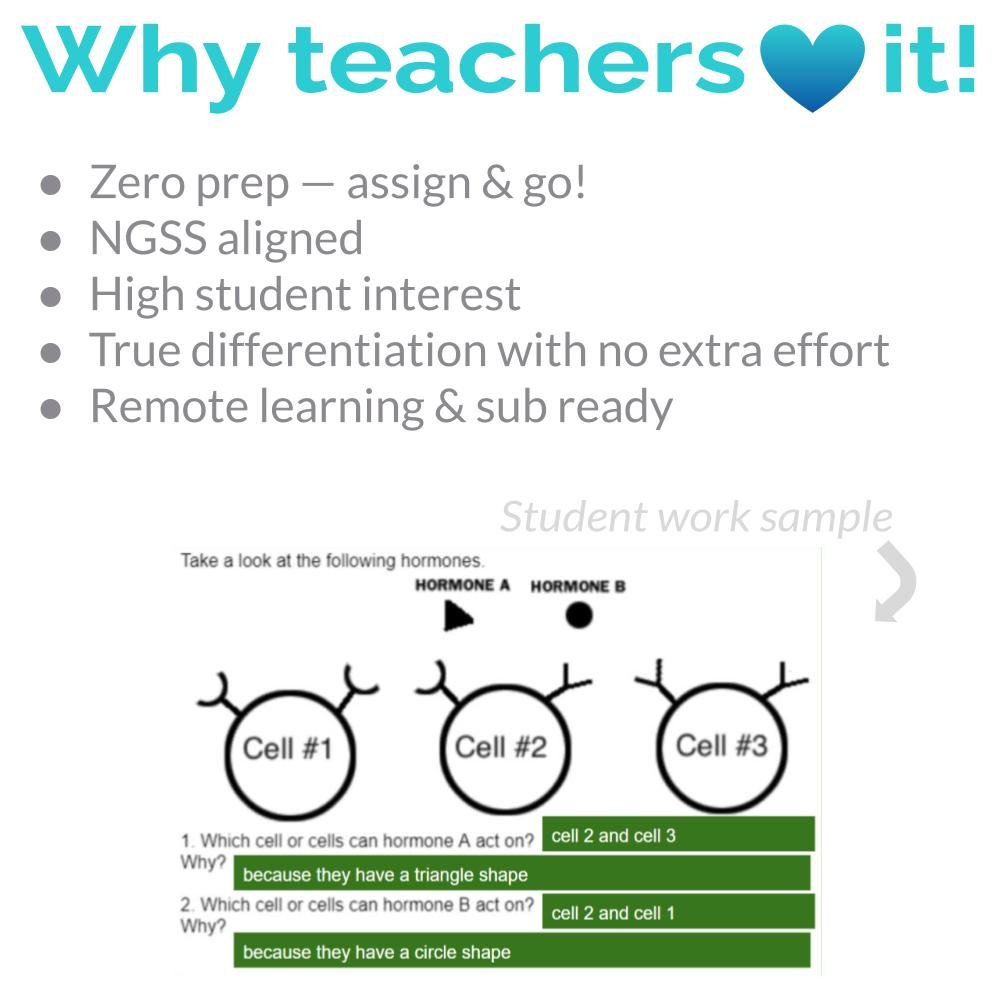 New Lesson Icons (3).jpg