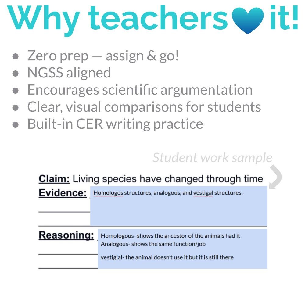 New Lesson Icons (7).jpg