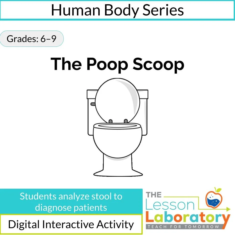 Stool Analysis & Digestive Health: Using the Bristol Stool Chart to Diagnose Patients