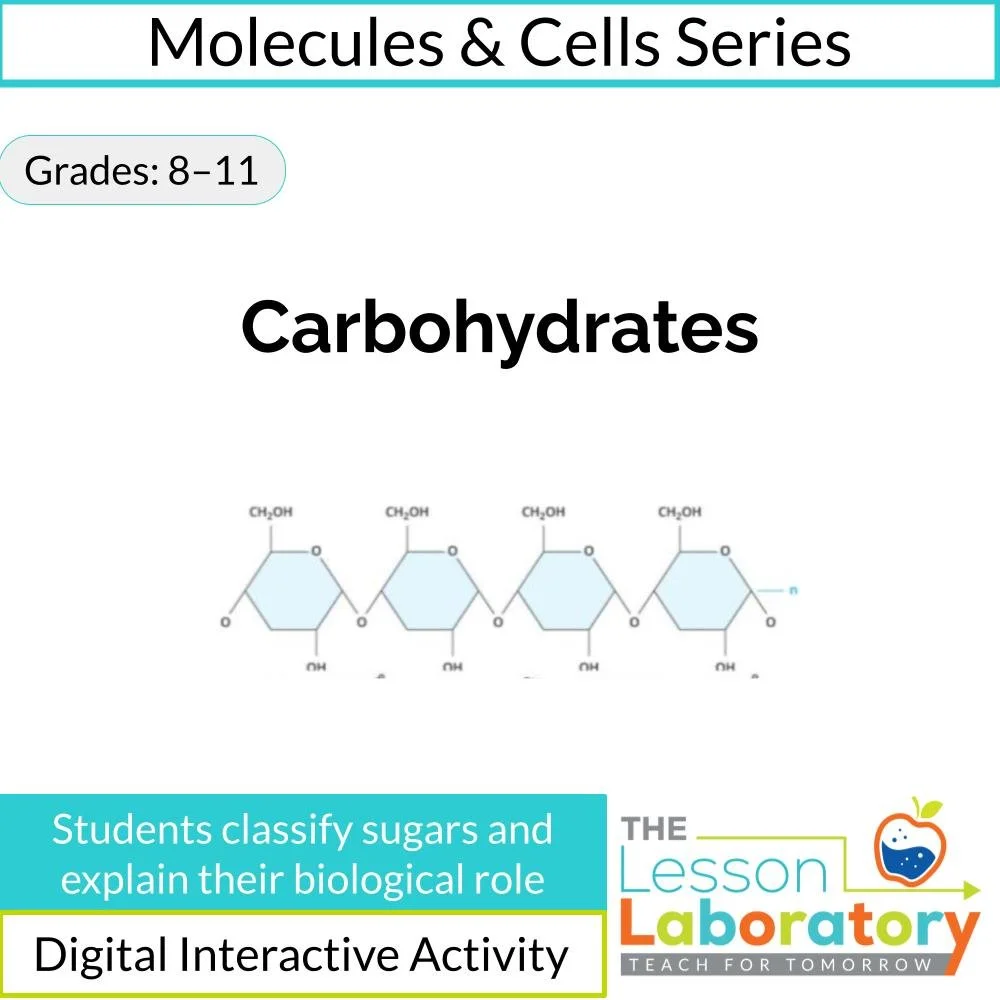 Introduction to Carbohydrates: Biomolecules and Energy