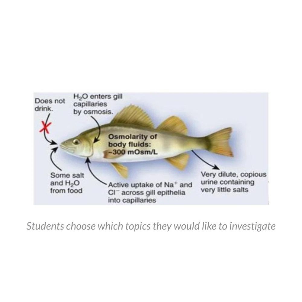 MS_HS Lesson Icons (1).jpg