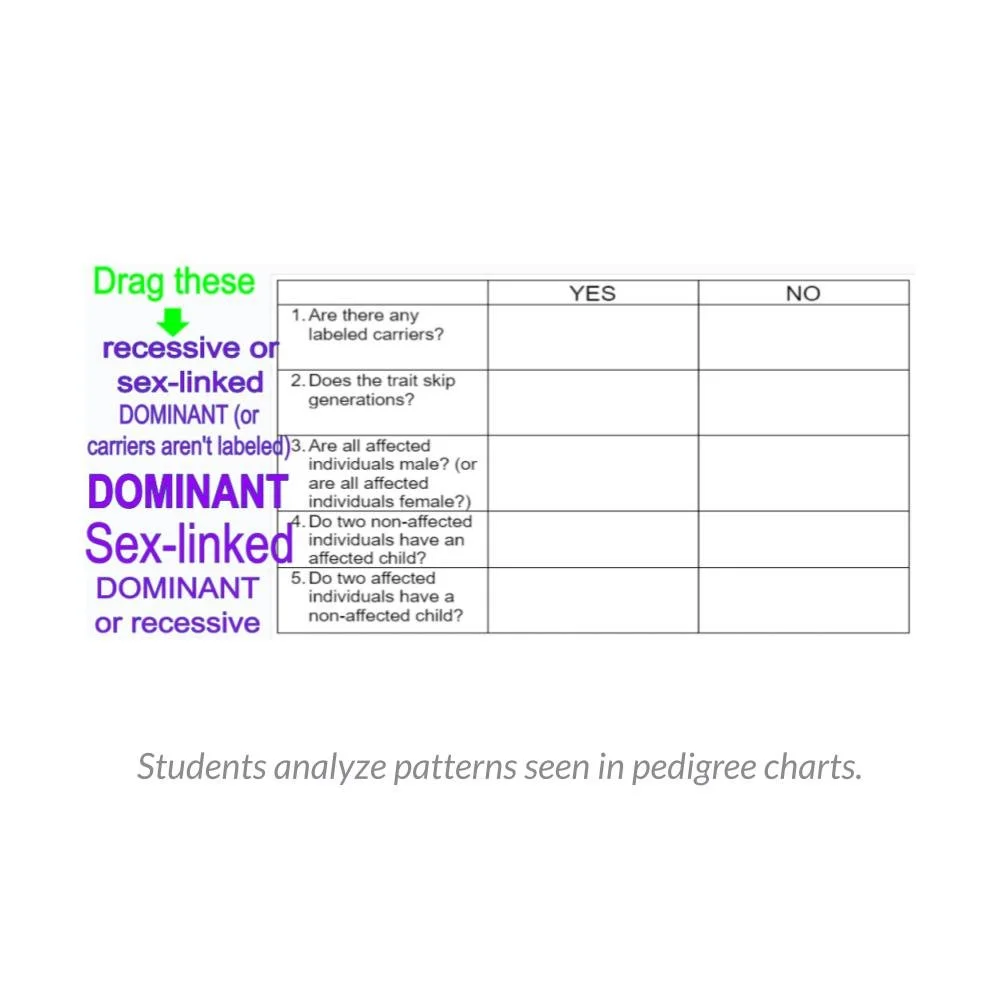 New Lesson Icons in Process (1).jpg