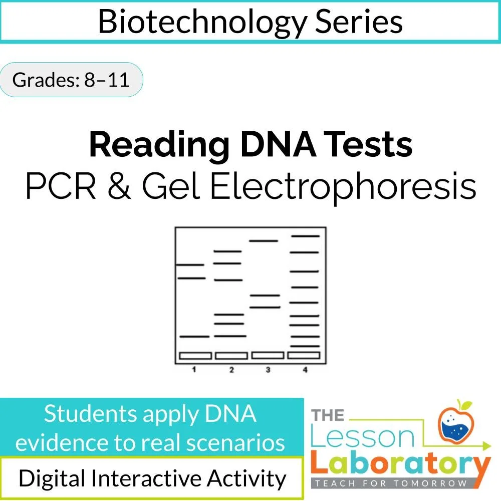 Gel Electrophoresis & PCR | Interpreting DNA Test Results