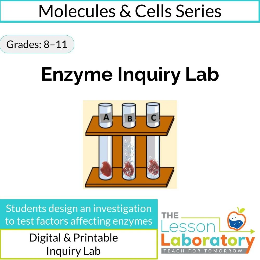 MS_HS Lesson Icons.jpg