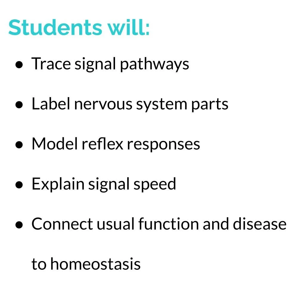 MS_HS Lesson Icons (1).jpg