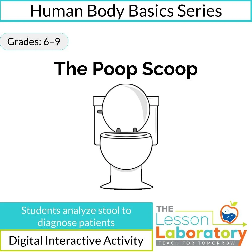 Stool Analysis & Digestive Health: Using the Bristol Stool Chart to Diagnose Patients