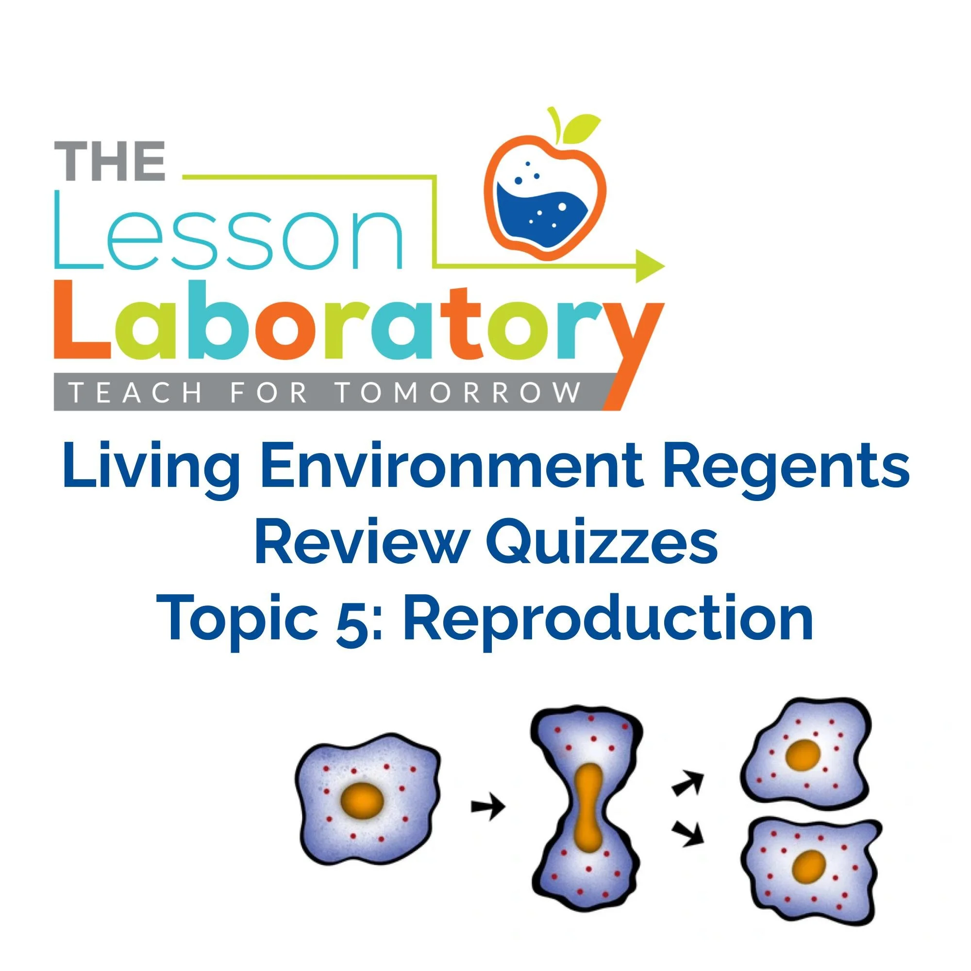 CORRECT Lesson Icons.jpg