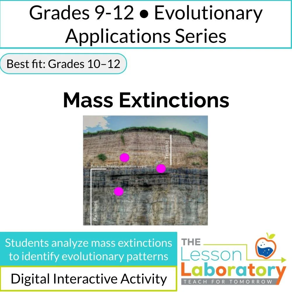 Mass Extinctions: Evidence, Patterns, and the Sixth Extinction Debate