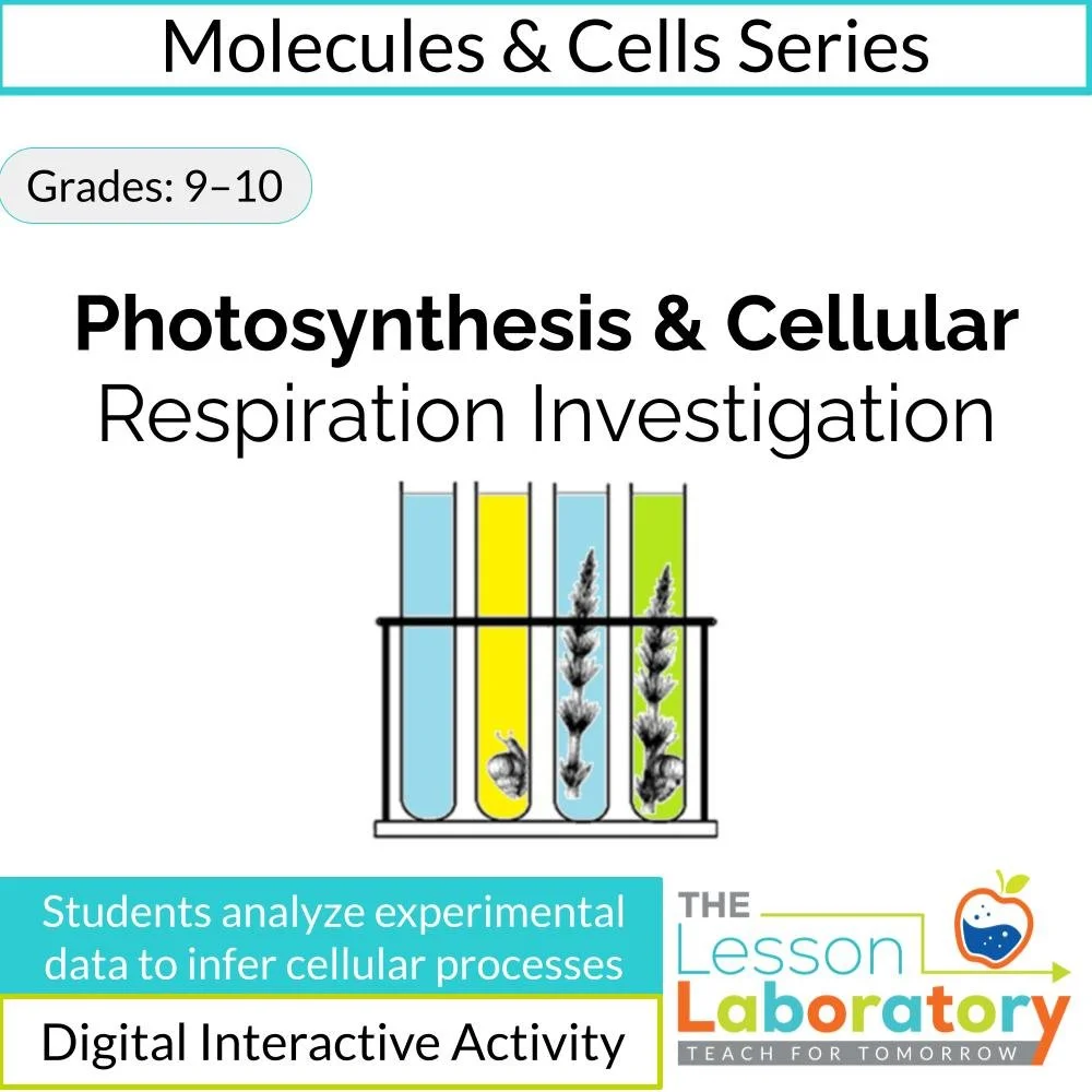 Photosynthesis & Cellular Respiration Investigation | Analyze Experimental Results