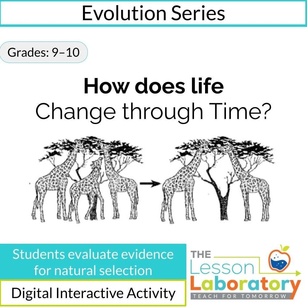 MS_HS Lesson Icons.jpg