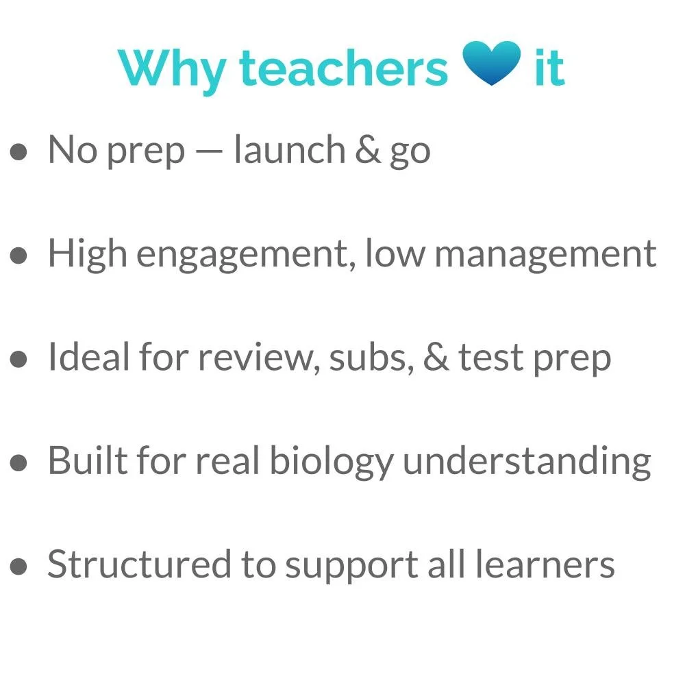 Bundle Icons (2).jpg