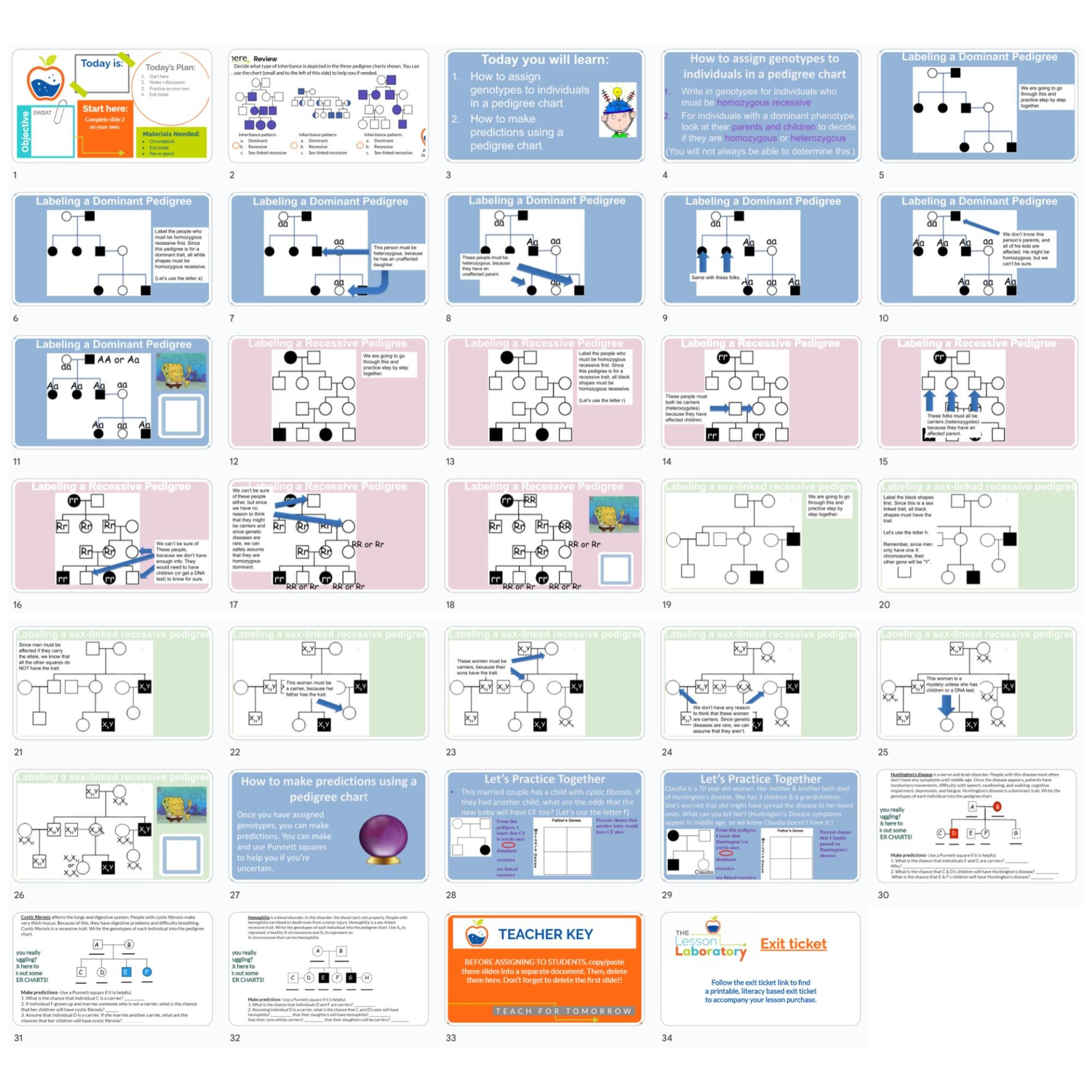 CORRECT Lesson Icons.jpg