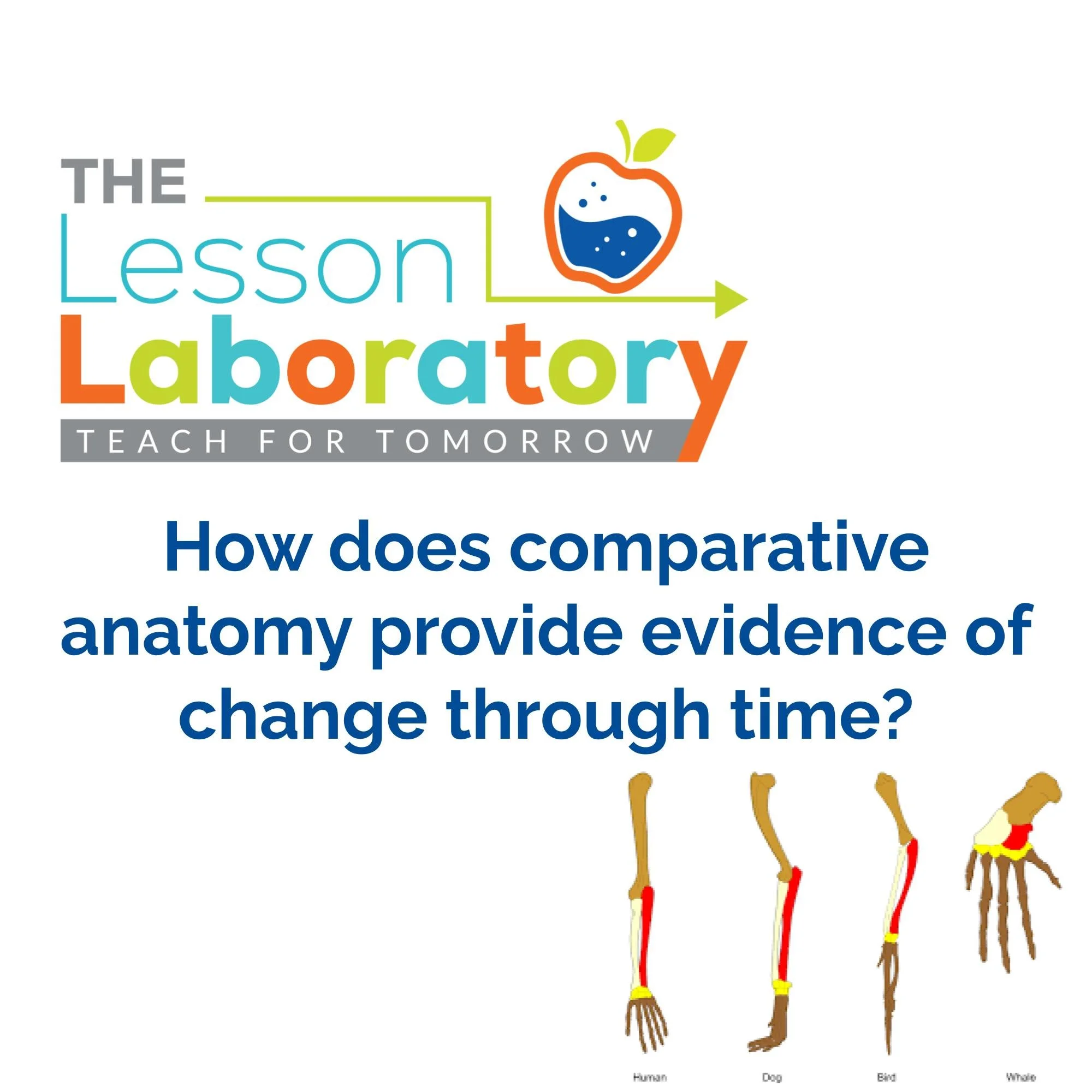 CORRECT Lesson Icons (31).jpg