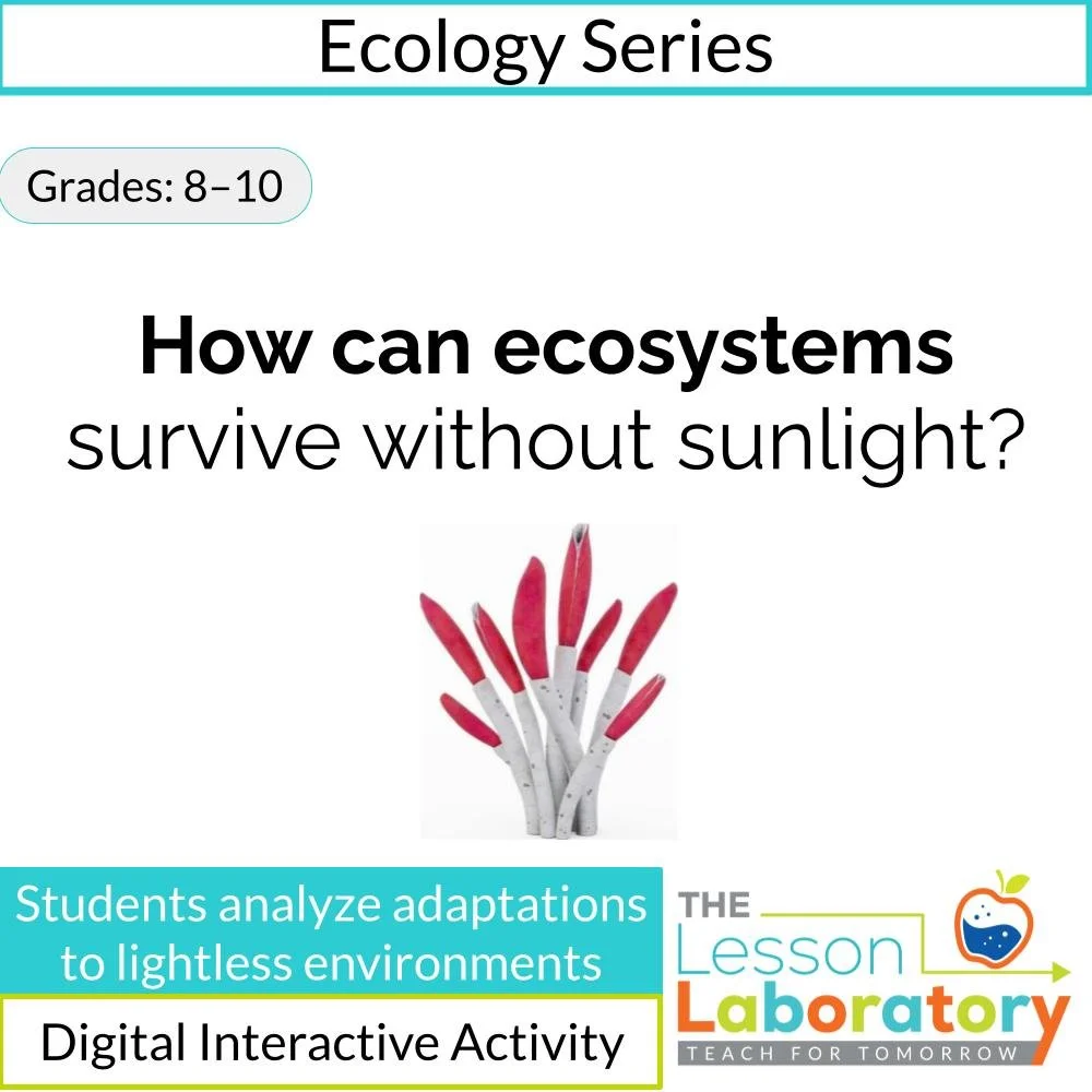 Hydrothermal Vents & Life Without Sunlight | Digital Investigation