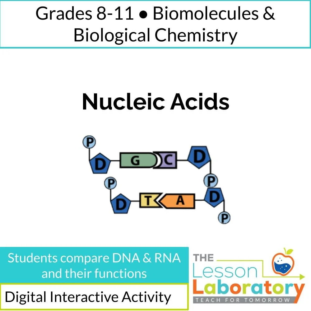 Introduction to Nucleic Acids: DNA, RNA, and Genetic Information