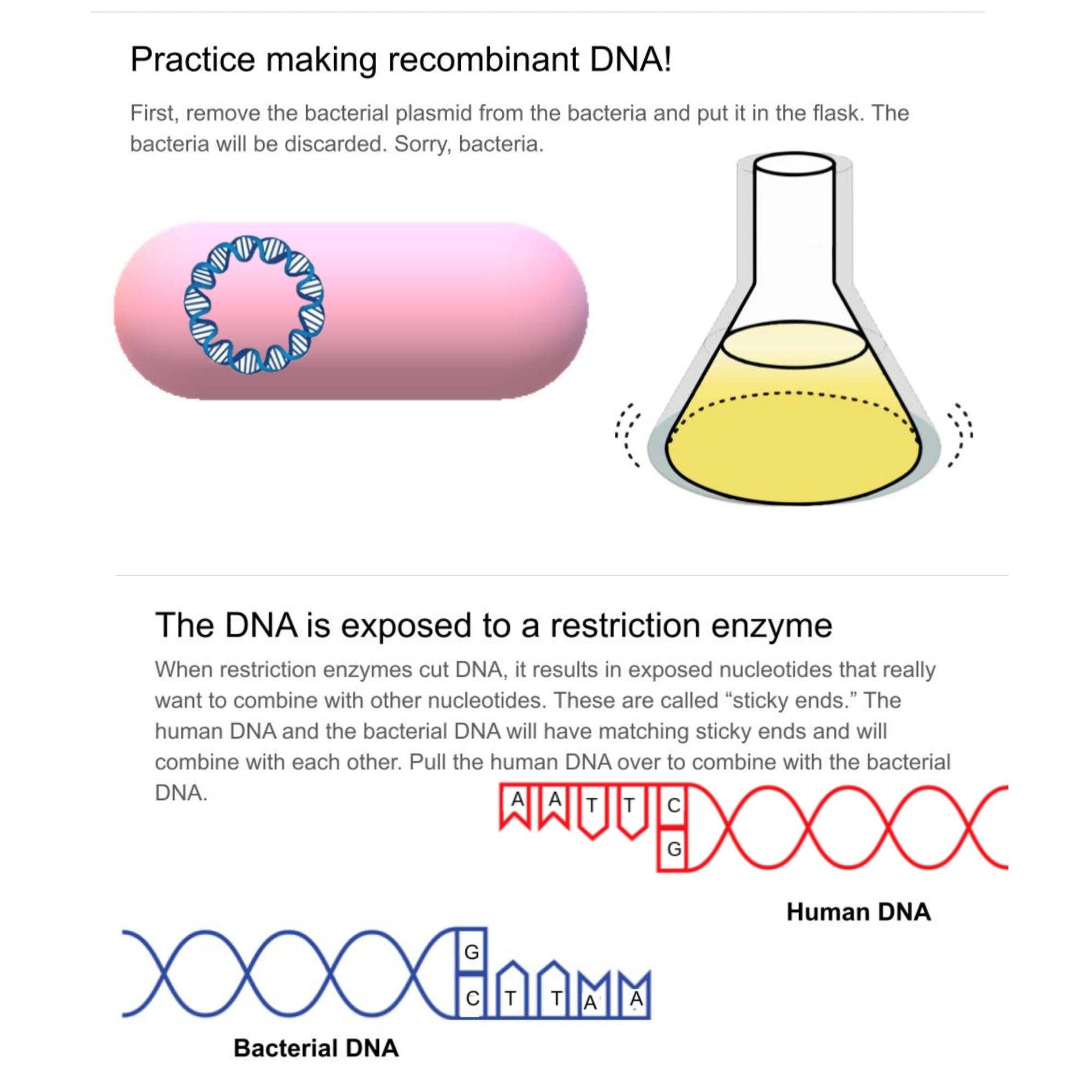 CORRECT Lesson Icons (2).jpg