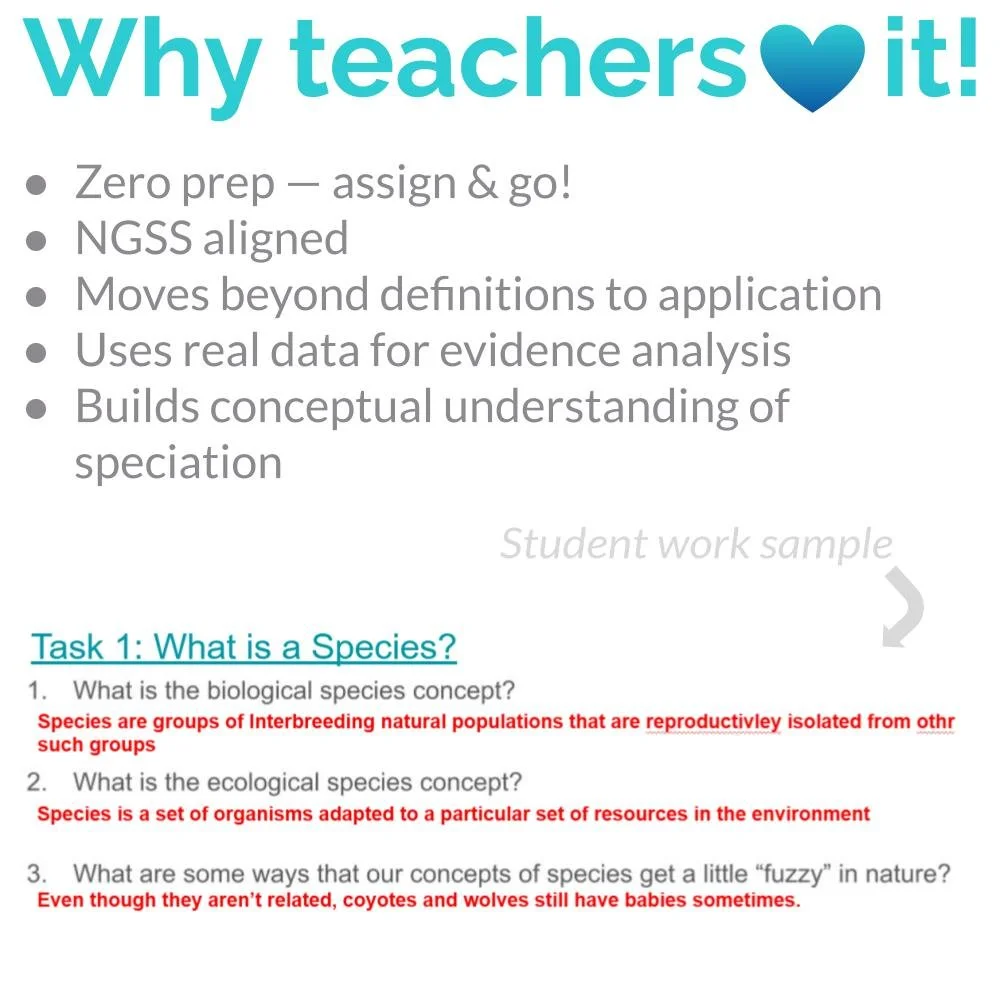 New Lesson Icons (3).jpg