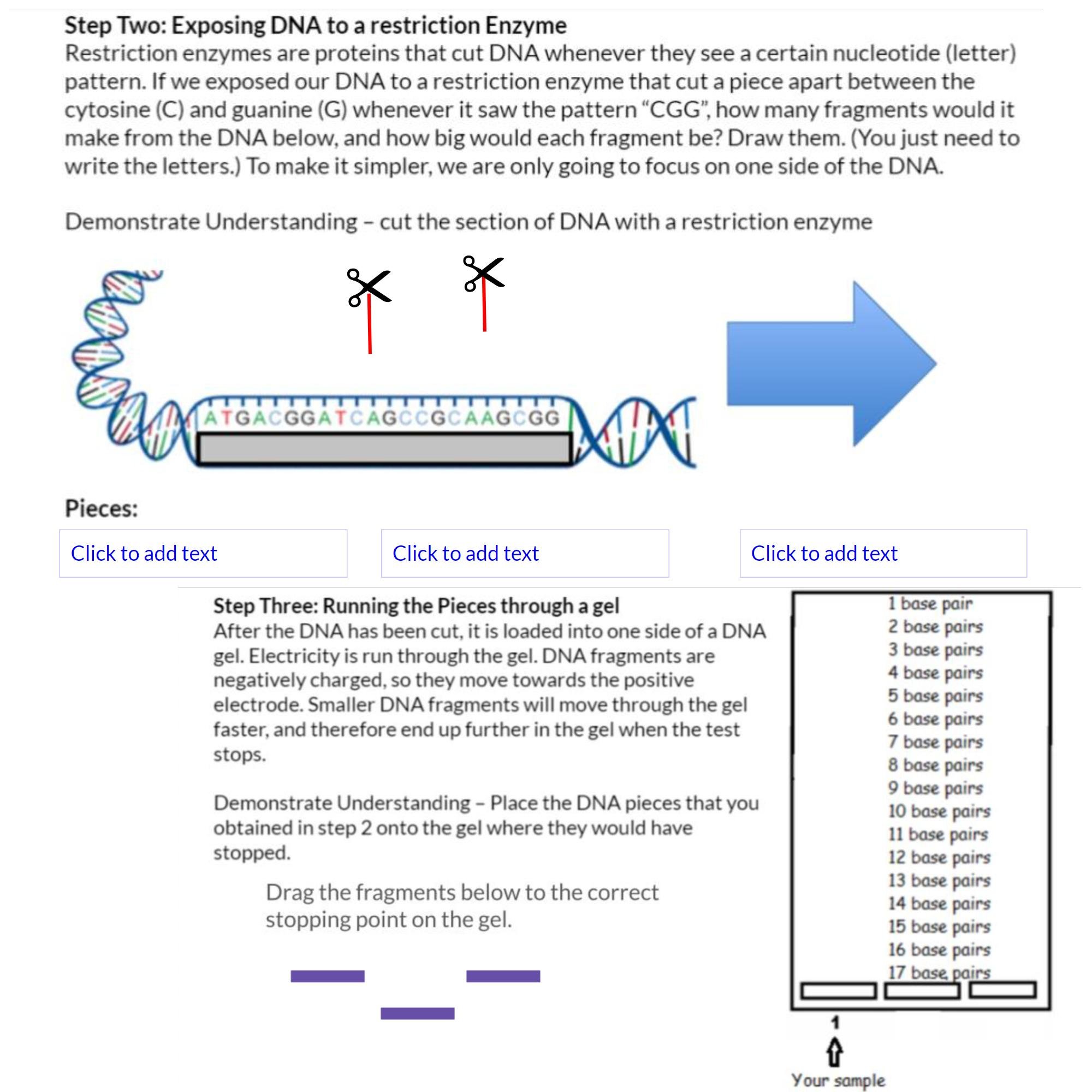 CORRECT Lesson Icons (2).jpg